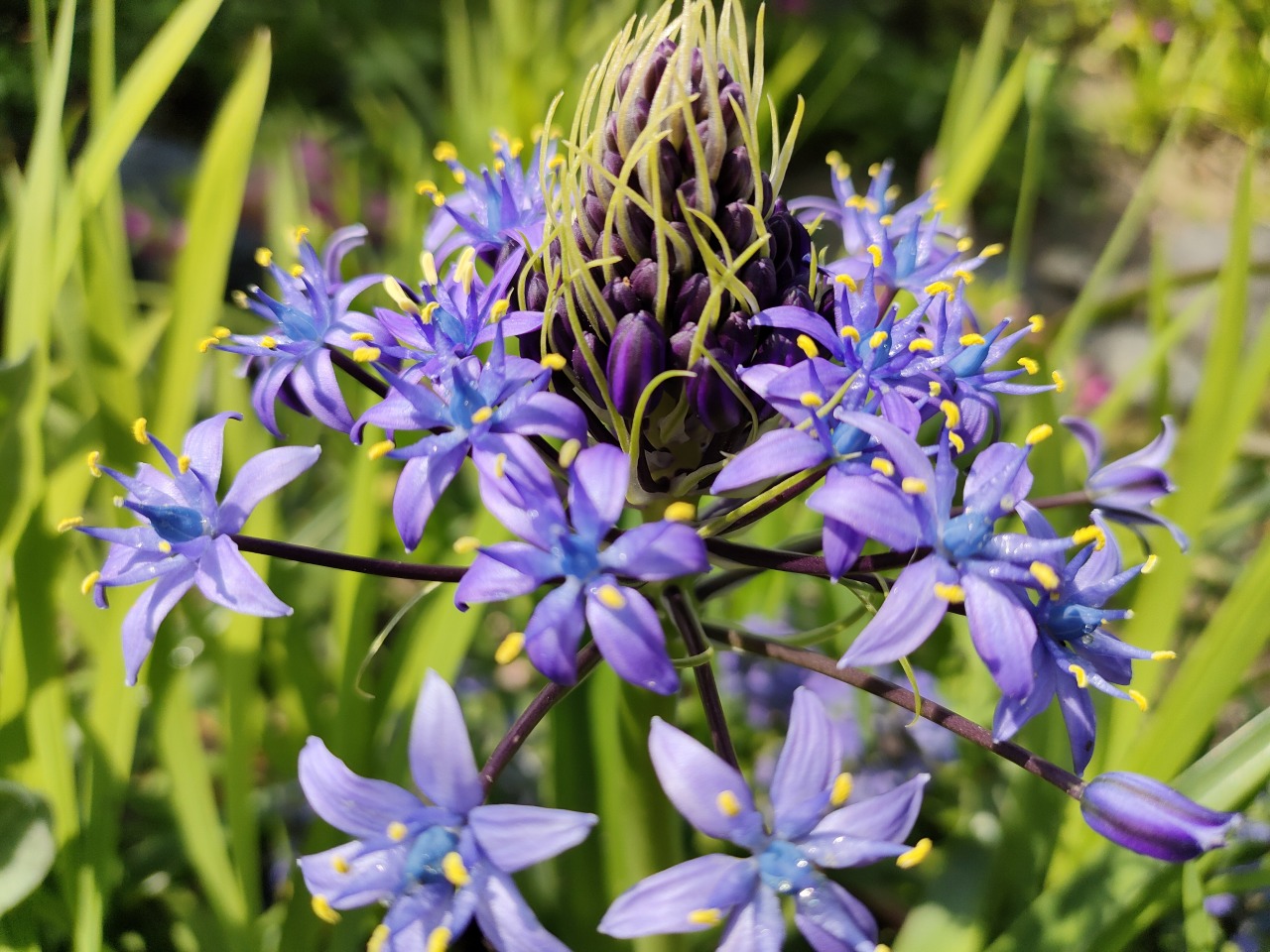 出展のお知らせ